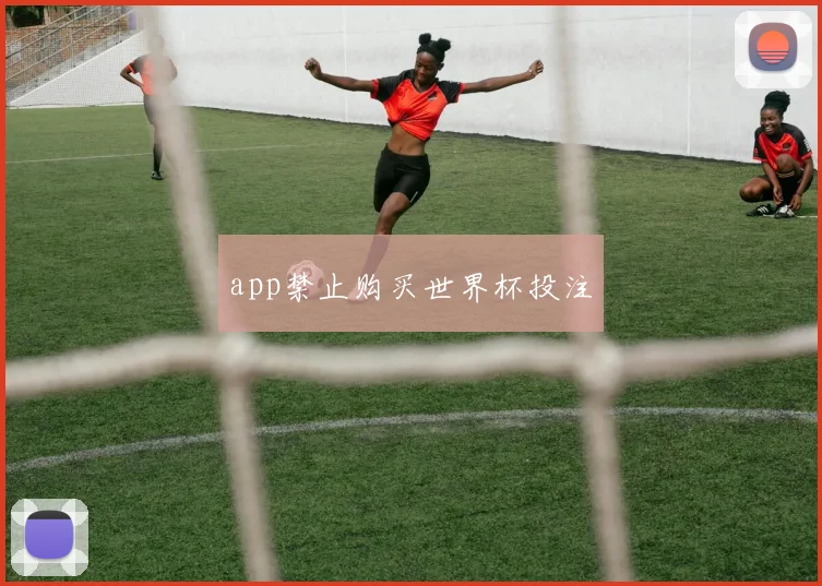 app禁止购买世界杯投注
