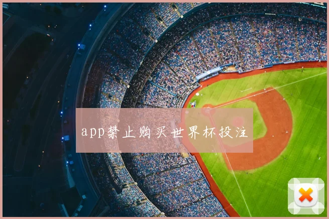 app禁止购买世界杯投注