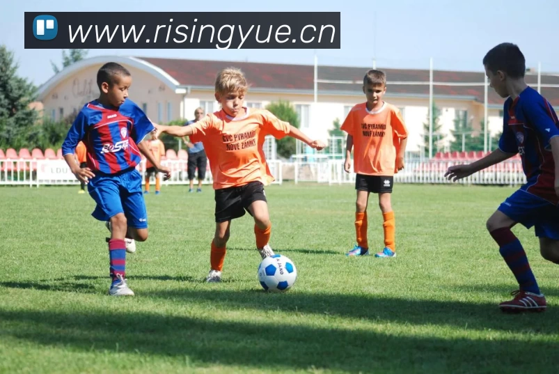 九游在线登陆官网品牌故事