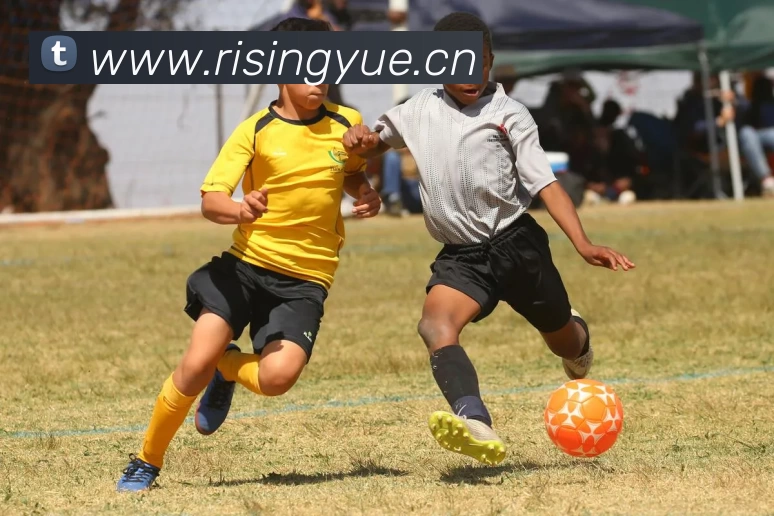 九游在线登陆官网服务体系